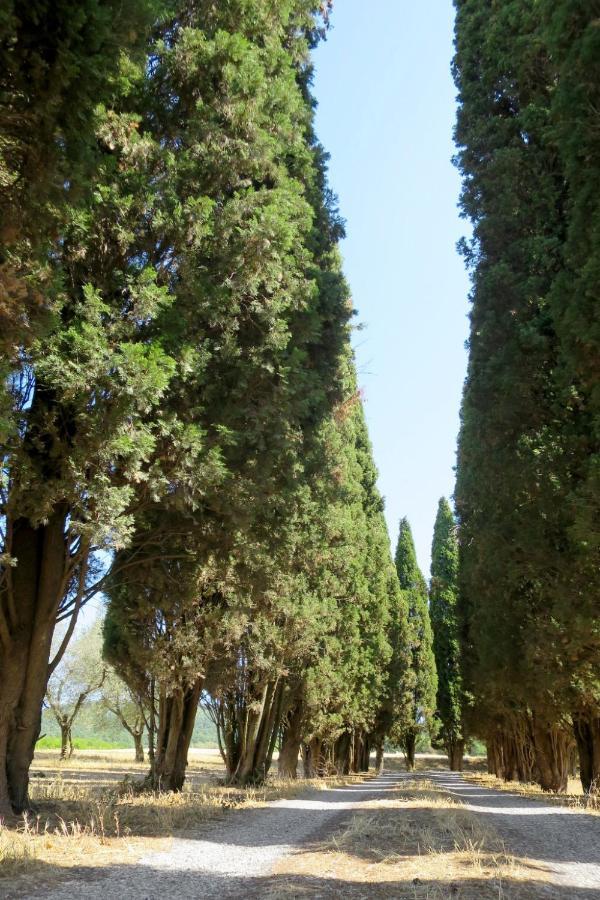 Holiday Home Il Podere Del Lago By Interhome Bolsena Luaran gambar